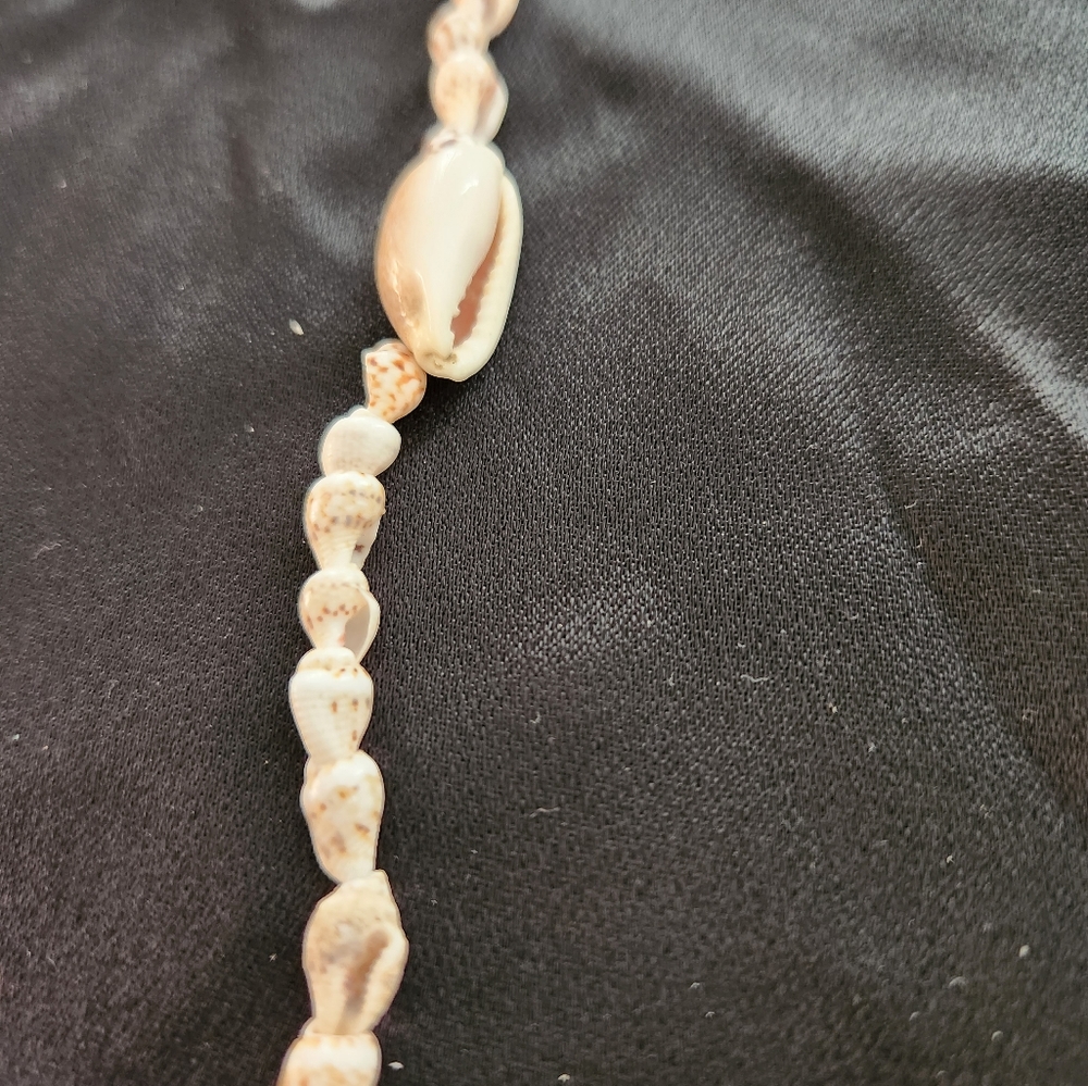 Seashell Necklace - Picture 2 of 2